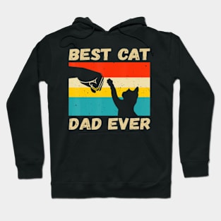 Best Cat Dad Ever Bump Fit Retro Vintage Qz Hoodie